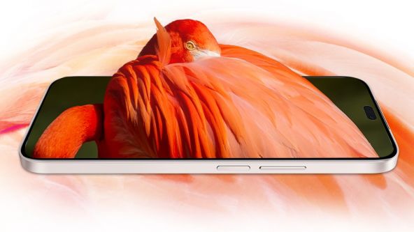 Honor X50i Plus