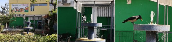 Fotografie demo Zoom Huawei P20 Pro