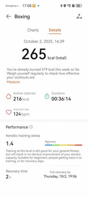 HUAWEI Watch Ultimate 2