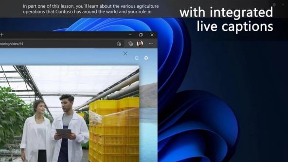 windows 11
