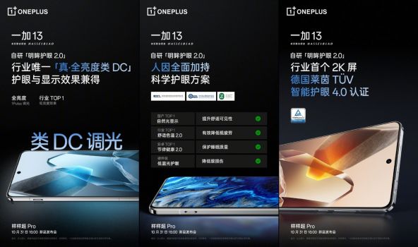 OnePlus 13
