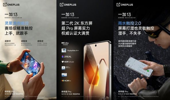 OnePlus 13