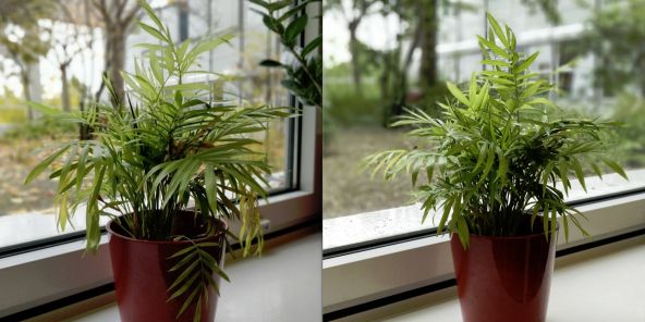 OnePlus 5 vs OnePlus 5T