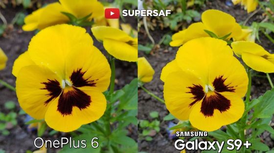 OnePlus 6 vs Galaxy S9+