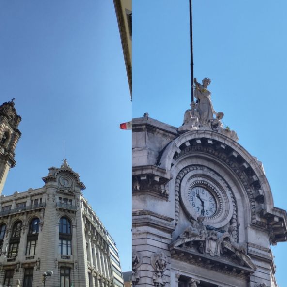 Oneplu exemplu de zoom avansat 10X în poză de mai sus
