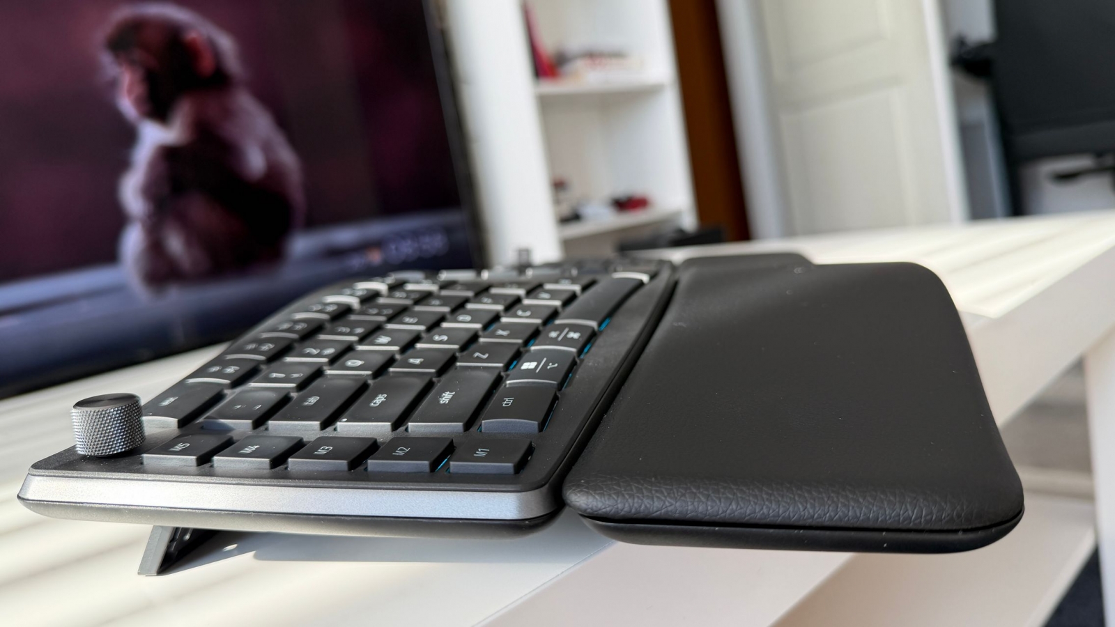 RAZER PRO Type ERGO