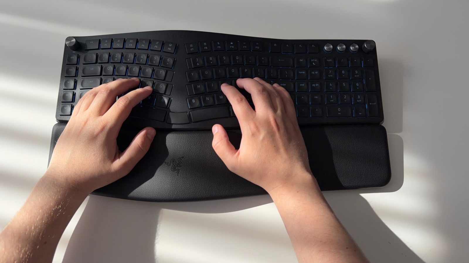 RAZER PRO TYPE ERGO