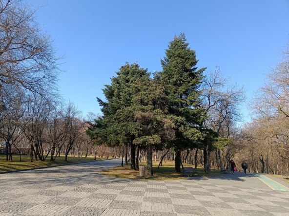 realme 9 Pro+