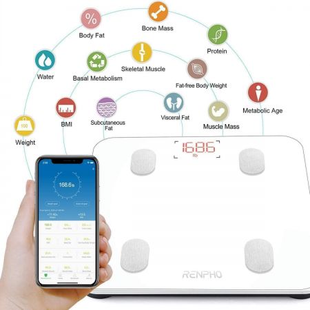Renpho Smart Scale