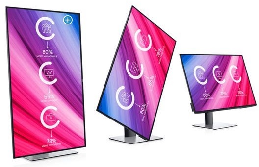 DELL UltraSharp U2419H