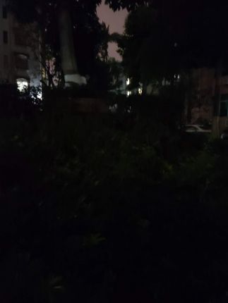 Galaxy S20+ Night Mode
