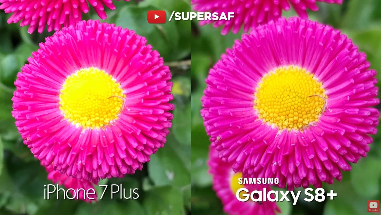 Galaxy S8+ vs iPhone 7 Plus