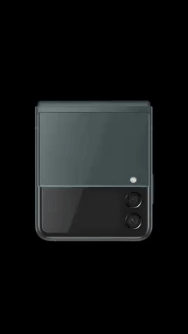 Z Flip 3