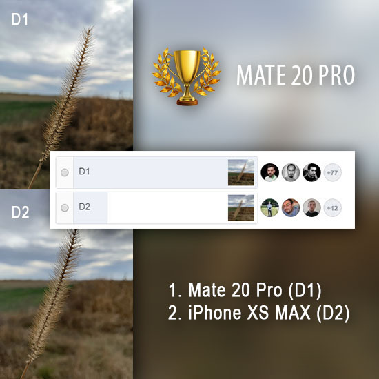 Al doilea test de close up și efect de adâncime de fundal