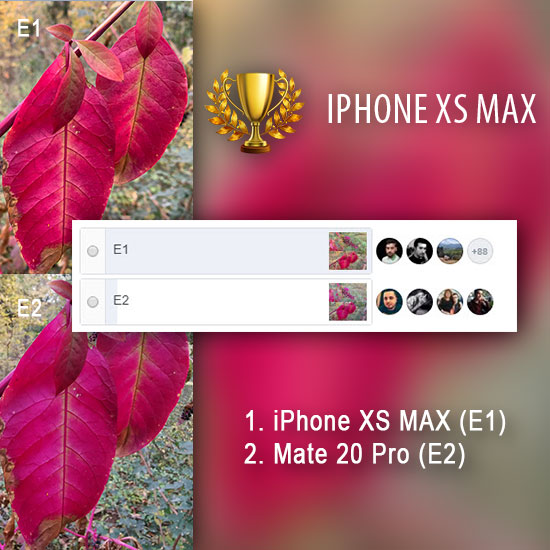 Test redare culori (roșu în special)