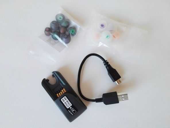 Sony Walkman NW-WS623 