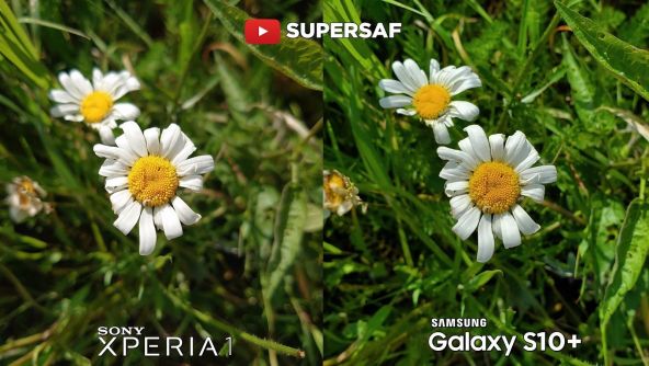 Xperia 1 vs Galaxy S10+
