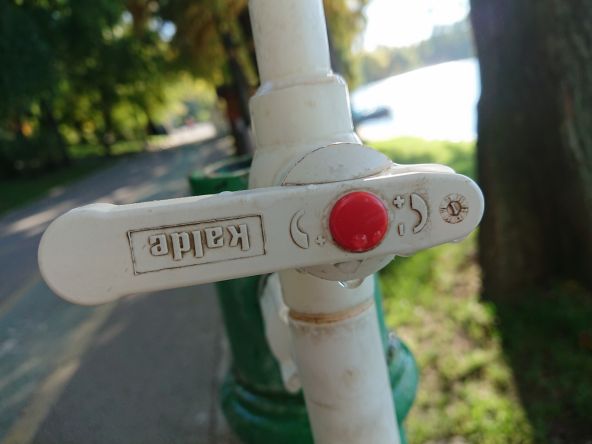 Imaginea rămâne luminoasă şi la umbră şi am creat chiar şi un soi de "Bokeh" atunci când am scos în evidenţă un subiect în prim plan şi am blurat fundalul, totul din focalizare