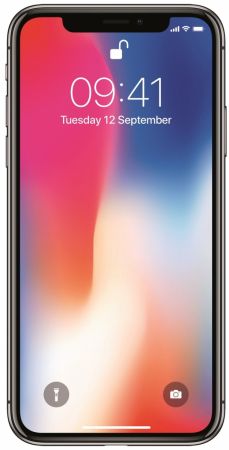 iPhone X