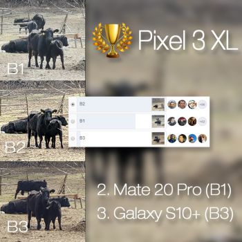 Câștigător comparație foto Samsung Galaxy S10+ vs. Google Pixel 3 XL vs. Huawei Mate 20 Pro (zoom in
