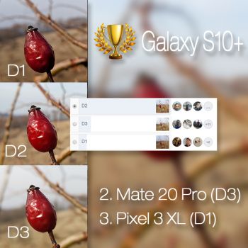 Câștigător comparație foto Samsung Galaxy S10+ vs. Google Pixel 3 XL vs. Huawei Mate 20 Pro (efect adâncime fără aplicare efect din software - captură la mod default)