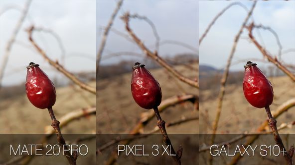 Comparație foto Samsung Galaxy S10+ vs. Google Pixel 3 XL vs. Huawei Mate 20 Pro (efect adâncime fără aplicare efect din software - captură la mod default)