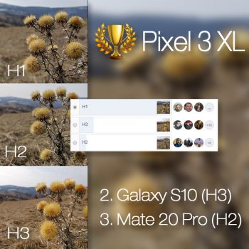 Câștigător comparație foto Samsung Galaxy S10+ vs. Google Pixel 3 XL vs. Huawei Mate 20 Pro (efect de adâncime (bokeh) din soft)