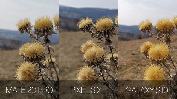 Comparație foto Samsung Galaxy S10+ vs. Google Pixel 3 XL vs. Huawei Mate 20 Pro (efect de adâncime (bokeh) din soft)