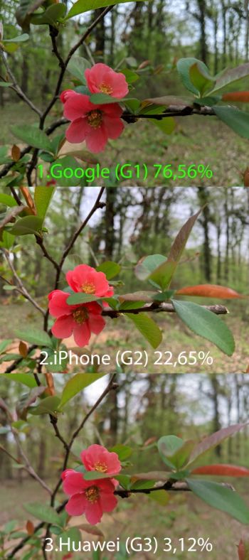 Test G (culori, claritate, contrast, separare de planuri)