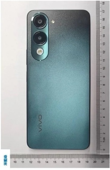 vivo