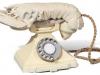 Pilula de fun: telefonul fix homar costă 280.000 de euro, e o creaţie a lui Salvador Dali