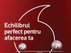 Vodafone România lansează abonamente dinamice care se adaptează la nevoile companiilor
