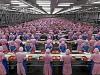Foxconn ar fi încălcat legile din China pentru a putea produce destule unităţi iPhone 11: muncă peste program, angajati temporari, elevi de liceu