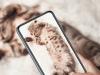 Redmi Note 9s se lansează astăzi și poți urmări evenimentul live începând cu ora 14:00 (ora României)