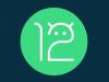 Google a lansat Android 12 Beta 2.1; Iată bug-urile rezolvate odată cu această actualizare
