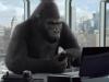 Samsung cumpăra 7.4% din Corning, producătorul lui Gorilla Glass