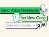 WhatsApp introduce mesaje vocale pe care le poți asculta o singură dată, la fel ca fotografiile ce dispar după afișare