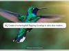 Sora AI vine gratis în Bing; Microsoft lansează Video Creator pentru generare de clipuri AI direct din text
