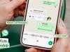 WhatsApp primește funcții noi de sărbători: Mesaje vocale după apeluri ratate și reacții în voice chat