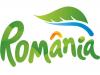 My 2 cents: unde sunt operatorii verzi de la noi? Cât de mult contează culoarea unui logo?