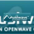 Microsoft va cumpara Musiwave
