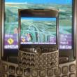Navi2Go acum si pe terminalele BlackBerry
