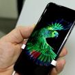 Sharp 801SH este un telefon flagship cu panou OLED şi breton, apărut în culisele IFA 2018 (Video)