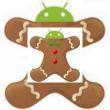 Informatii despre Android 3.0 ajung pe web in premiera