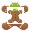 Android 3.0, gata de debut in decembrie; Android 4.0 in a doua jumatate a lui 2011