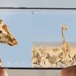 Modul "Dual-View Video" ajunge printr-o actualizare software pe smartphone-urile Huawei P30 și Huawei P30 Pro