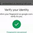 Conturile Google acceptă acum autentificare biometrică, pentru început pe Android