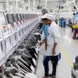 Apple vrea să mute 20% din producţia iPhone din China în India
