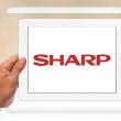 Sharp reduce radical producția de ecrane de iPad; Pregătiri de iPad Mini 2 sau o mini criză?