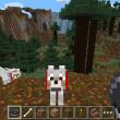 Minecraft: Pocket Edition debutează pe Windows Phone